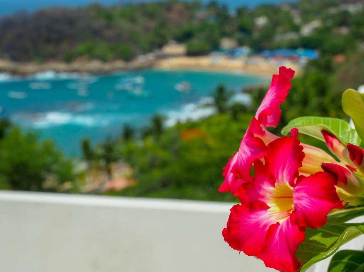 Casa Cascada - Adults Only Hotell Puerto Escondido  Exteriör bild